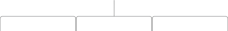 lines